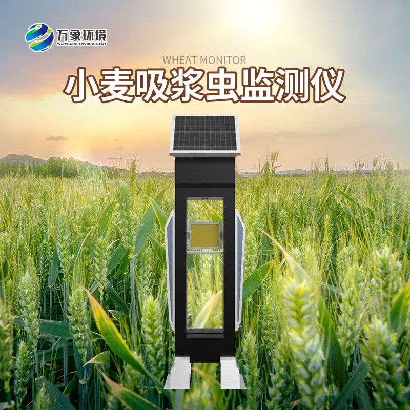 小麥吸漿蟲(chóng)監測儀