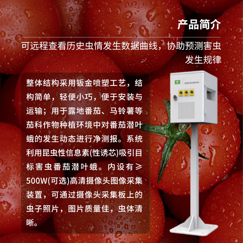 番茄潛葉蛾智慧性誘測報系統：高效誘蟲(chóng)、殺蟲(chóng)