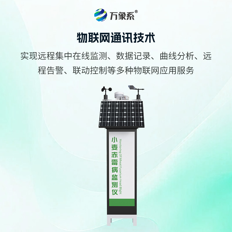 小麥赤霉病監測儀，如何搶占防控先機？